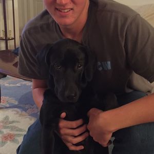 Meet your Posher, Andrew